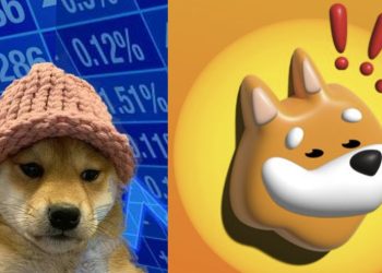 Solana Memecoins WIF, Bonk Surge By Double Digits: Here’s Why