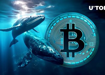 $78 Million Worth of Bitcoin Deposited to Kraken by Major Whale as BTC Plunges
