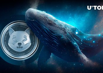 Shiba Inu (SHIB) Skyrockets in Multi-Million Whale Activity, But There’s a Twist