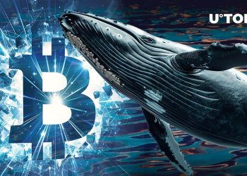 Satoshi-Era Whale Awakens with Millions in Bitcoin After 14 Years of Anabiosis