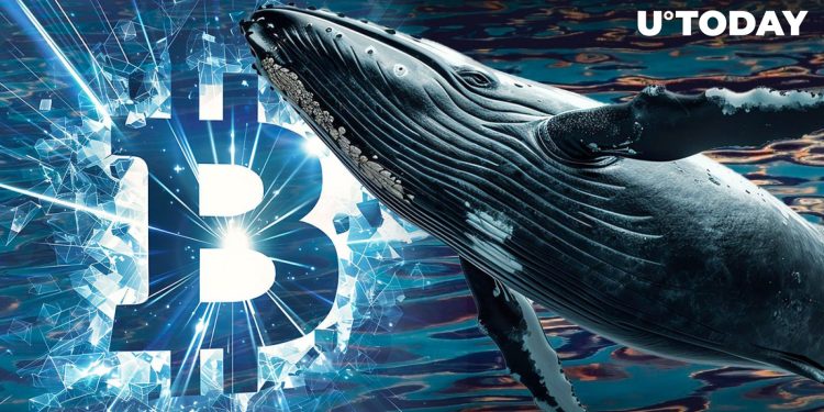 Satoshi-Era Whale Awakens with Millions in Bitcoin After 14 Years of Anabiosis