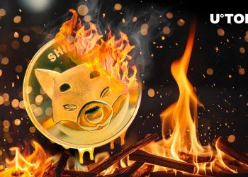 SHIB Burns On Fire As Price Gets on Verge of Breakout