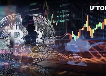 How Long Does It Take for Bitcoin Price to Recover After Halving?