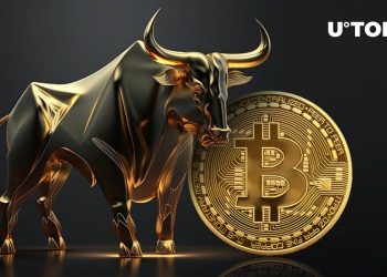 Bitcoin (BTC) Bull Market Depends on This Major Factor: Details