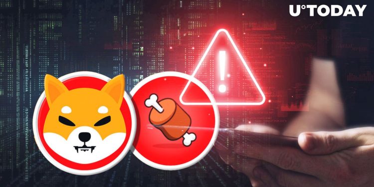 Shiba Inu (SHIB) Community Gets Critical Alert