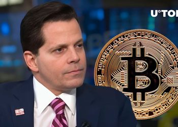 Anthony Scaramucci on Bitcoin: ‘Best-Performing Asset in World’