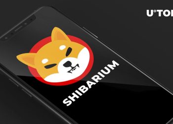 Shibarium Faces Temporary Outage: Details