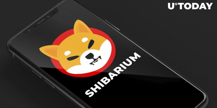 Shibarium Faces Temporary Outage: Details