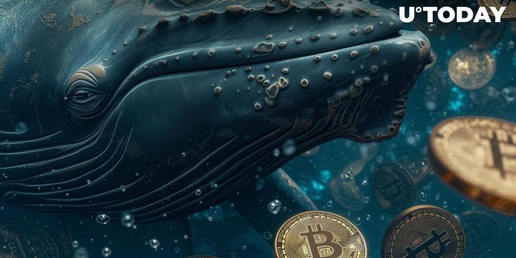 New Bitcoin Whales Out-Invest Old Ones