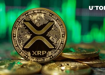 XRP Skyrockets to New All-Time High in Millionaire Addresses