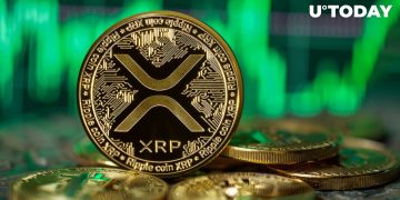 XRP Skyrockets to New All-Time High in Millionaire Addresses