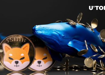 Shiba Inu (SHIB) Whales Disappear