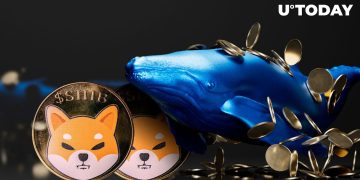Shiba Inu (SHIB) Whales Disappear