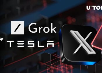 Important X, Grok, Tesla Crypto Warning Issued to Community