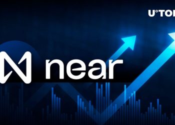 NEAR Protocol (NEAR) Registers Highest Retention Amid All L1s