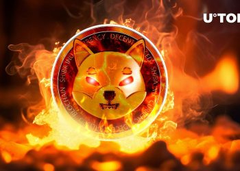 SHIB Burn Rate Skyrockets After Crucial SHIB Upgrade Announcement