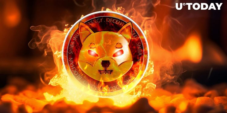 SHIB Burn Rate Skyrockets After Crucial SHIB Upgrade Announcement