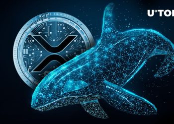 74 Million XRP Mysteriously Shifted to Wallets as Whales Make Insane Moves