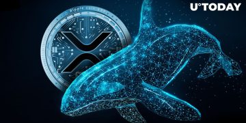 74 Million XRP Mysteriously Shifted to Wallets as Whales Make Insane Moves