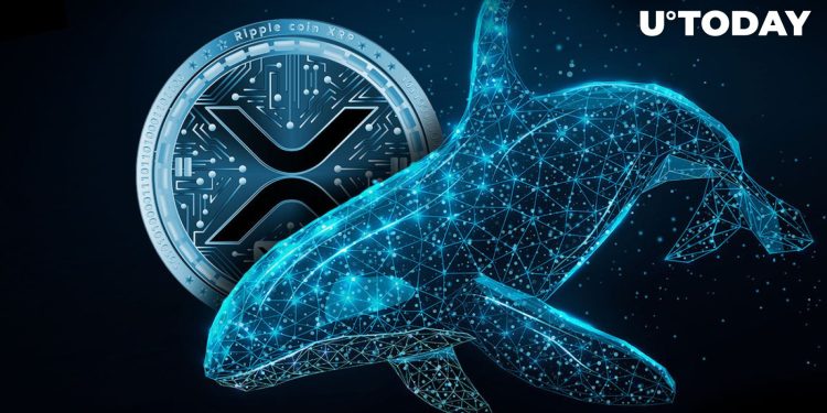 74 Million XRP Mysteriously Shifted to Wallets as Whales Make Insane Moves