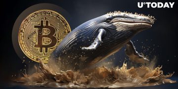 Bitcoin Whales Disappear