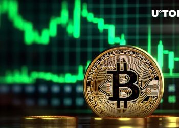 Bitcoin (BTC) Surpasses Dogecoin (DOGE) and Cardano (ADA) in This Important Metric