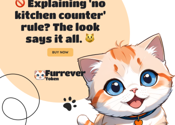 Countdown to Bitcoin Halving Event: Here’s What You Need to Know and Impact on Solana and Furrever Token