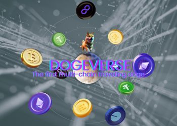 New Meme Coin ICO Dogeverse Raises $6 Million After Completing Coinsult Audit