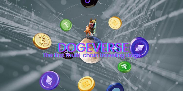 New Meme Coin ICO Dogeverse Raises $6 Million After Completing Coinsult Audit