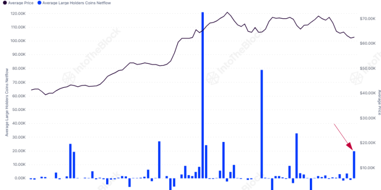 Bitcoin Mega Whales Are Buying, Time For Rally To Return?