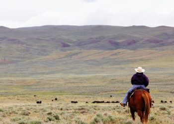 Optimize Transactions and Unlock Digital Asset Opportunities