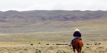 Optimize Transactions and Unlock Digital Asset Opportunities