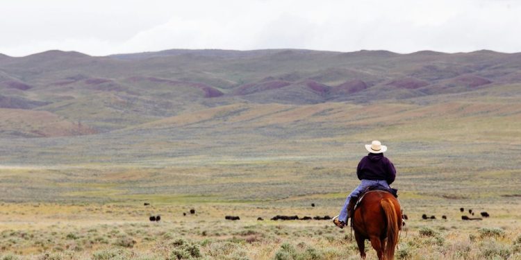 Optimize Transactions and Unlock Digital Asset Opportunities