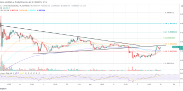 Shiba Inu Team Fixes Shibarium Outage, SHIB Readies For Surge