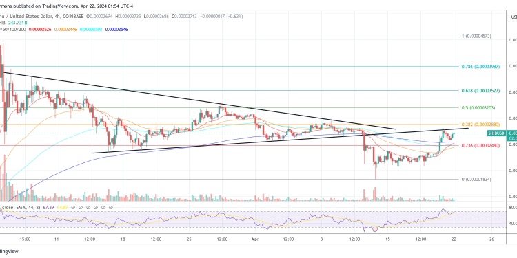 Shiba Inu Team Fixes Shibarium Outage, SHIB Readies For Surge