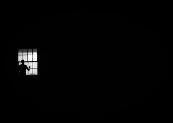 Panic Grips Investors As ADA Drops 20%