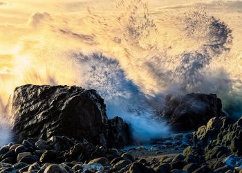 12 Projects Gone In 30 Days