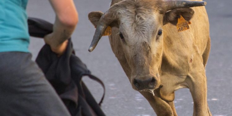 Bitcoin Raises Bull Flag, Formation Triggers Calls For $100,000