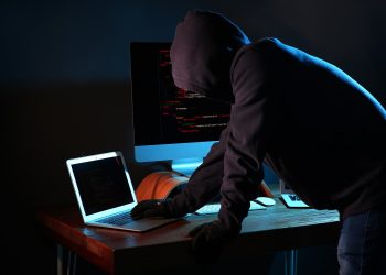 Bitbot gains as Ape Terminal cancels ZKasino IDO