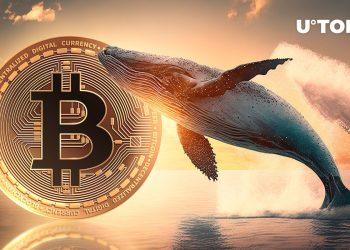 Mysterious Whales Suddenly Shift Millions in Bitcoin After Halving