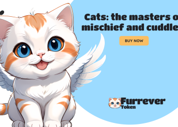 Bitcoin Surges 8.33% to $65,000, Ethereum Holds Strong at $3,177 Up 6%, Furrever Token Presale Hits $1M Amidst a 15X Return Potential