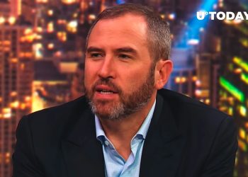 Ripple CEO Names Big Victory Company Scored While Fighting SEC
