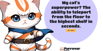 Ultimate Investment Guide: Furrever Token Set to Achieve Bitcoin and Ethereum-Level ROI in 2024