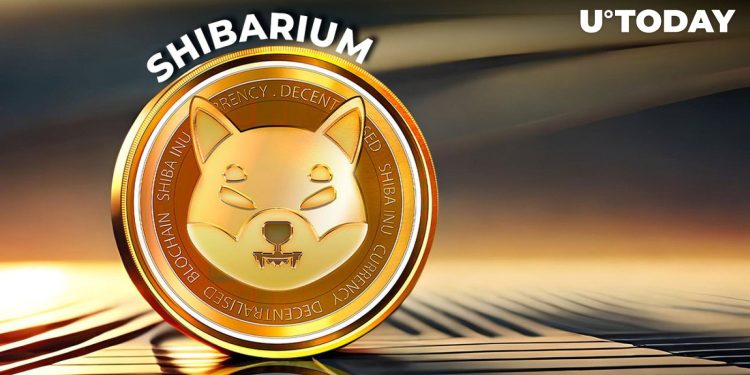 500% Spike in Shiba Inu Token Transaction Fees Shocks Shibarium