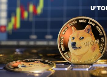 Dogecoin Outperforms XRP, ADA in Crucial Metric in Past 6 Months: Report