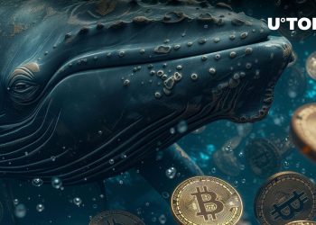 Mystery Behind BTC Big Movers Revealed