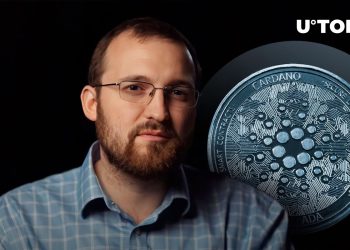 Cardano Founder Responds to ADA Community, But With Warning