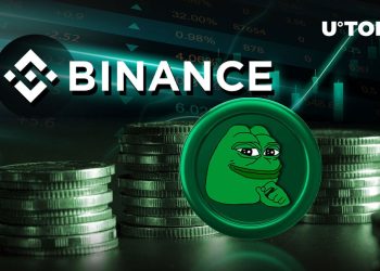 357.3 Billion PEPE Purchased on Binance After Major Meme Coin Development