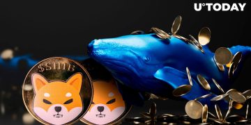 Shiba Inu Whales Disappearing? SHIB Large Transactions Plummet