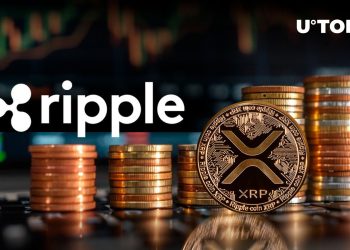 Ripple Reveals Impressive Q1 XRP Growth in New Report